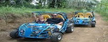 buggy1