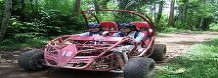 buggy2