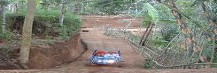 buggy5