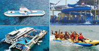cruise reef (2)